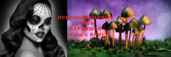 бошки Баксан