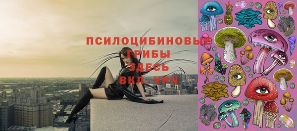 бошки Баксан