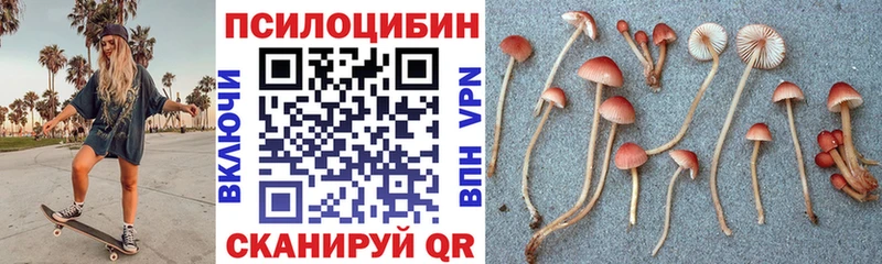 Галлюциногенные грибы ЛСД  ОМГ ОМГ как зайти  Малая Вишера 